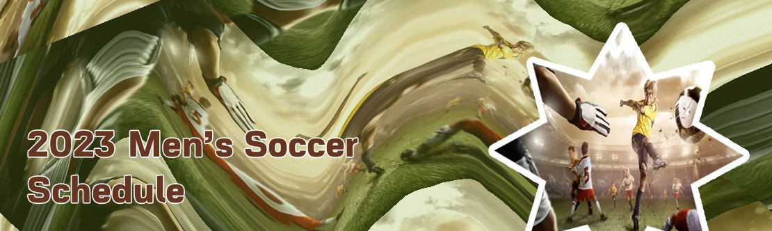Upcoming soccer games